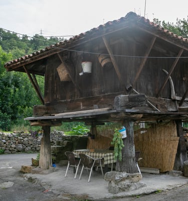 Casa Rural Salices 