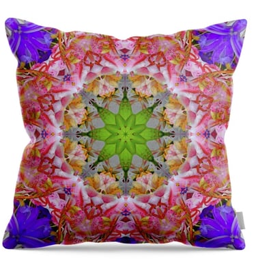 Throw Pillow