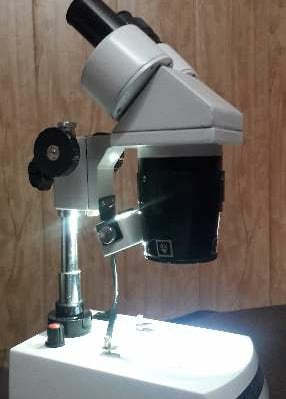 #STEREO MICROSCOPE