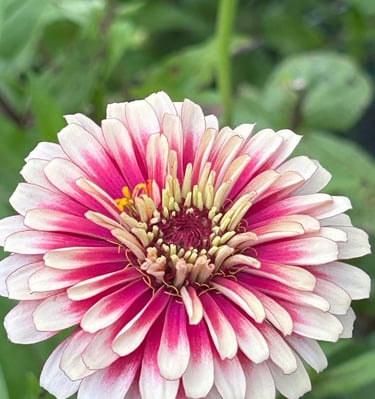 God's beauty is amazing!