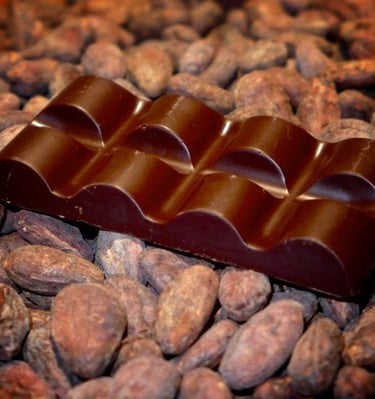 a chocolate bar with chocolate and cocoa beans
