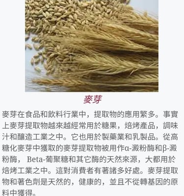 a bunch of wheat stalks and some rice