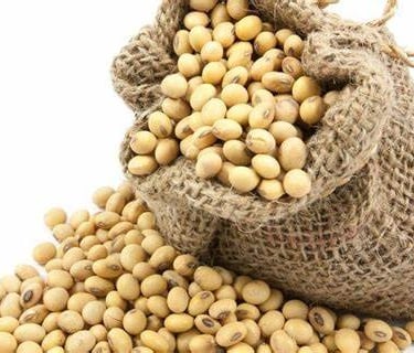 a bag of soy beans on a white background hamer candy