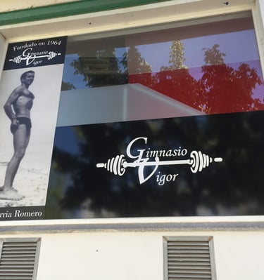 Gimnasio Vigor