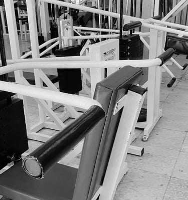 musculación