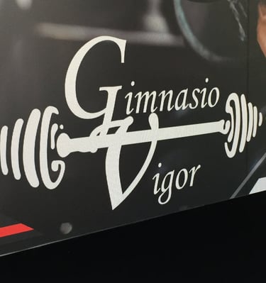 Gimnasio Vigor