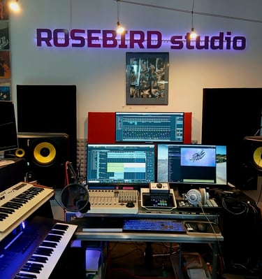 vue large du studio rosebirdstudio