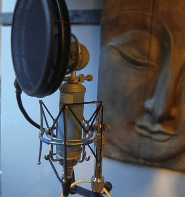 micro bluebird du studio rosebirdstudio