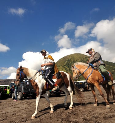 Kuda di lautan pasir Bromo
