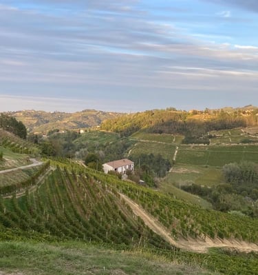 Agriturismo Il Muscatè