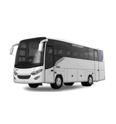 Sewa Bus Pariwisata Medium di Surabaya