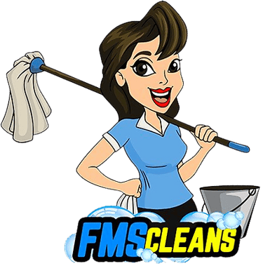 smetropolitancleaningservices.com