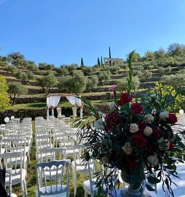 a wedding ceremony in a vineyard