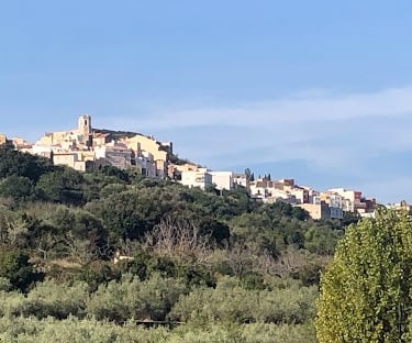 Vista del pueblo de Sant Jordi rodeado de naturaleza