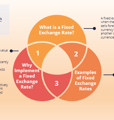 The IB Trainer IB Economics Course Lessons
