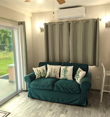 ground level living room couch