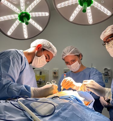 Francisco Torrao neuro cirurgião especialista em Nervos Perifericos e Plexo Braqueal no RJ 