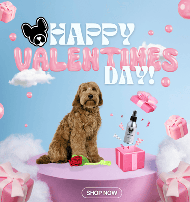 Dog fragrance Digital Marketing for Boothang