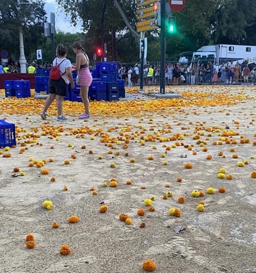 Final de la batalla de las flores, suelo lleno de claveles.