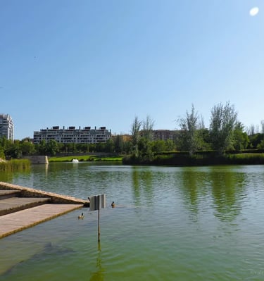 Lago con patos en el Parque de la Cabecera