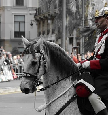 policía local a caballo en traje de gala  en Fallas.