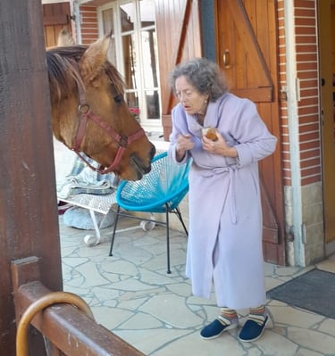 équithérapie - visite d'une personne âgée
