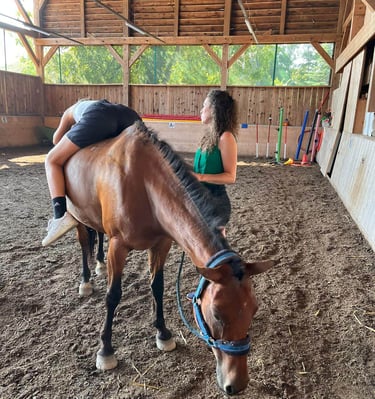 prise en charge individuelle adulte