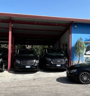 Flotta taxi portorosa