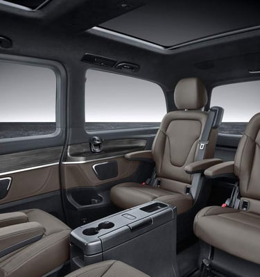 Interni portorosa taxi