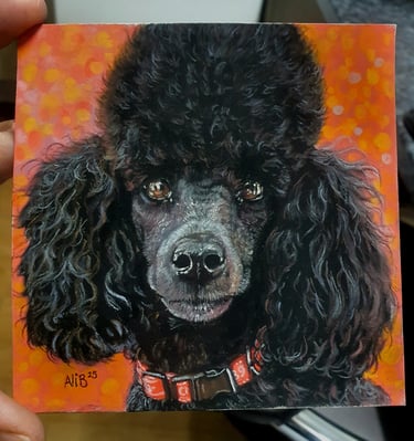 Pastel Postrait of a poodle by Alison Burchert