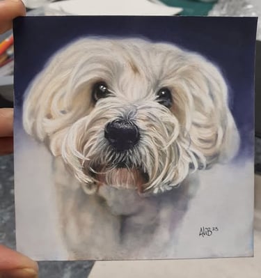 Pastel dog portrait by Alison Burchert