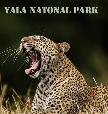 Yala Natomal park