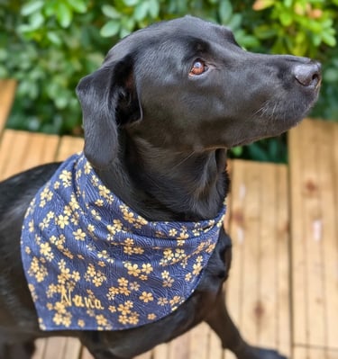 a dog wearing a bandannard and a bandanna