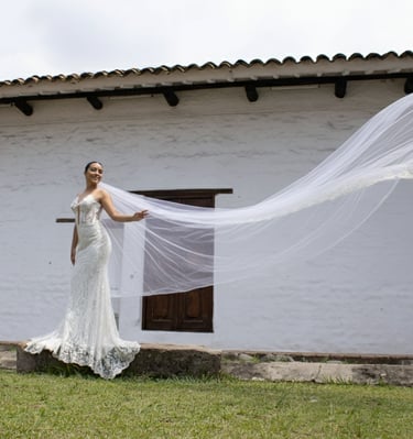 Un Vínculo Mágico: El Vestido y la Ilusión,Le da vida al vestido, llenándolo con la luz inigualable 