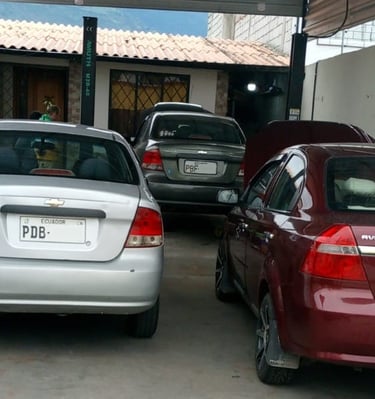 Capacidad para trabajar con múltiples vehículos garantizando calidad en cada servicio.