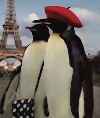 Poppy's beret lets him feel artistic