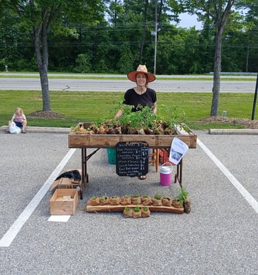 A local farmer selling vegetable garden starts at an outdoor farmers market stand.