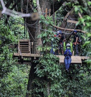 Taino Bay transfer review Hugo tours