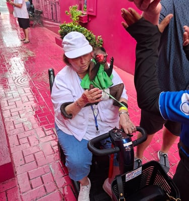 ripAdvisor review for Hugo Puerto Plata tours