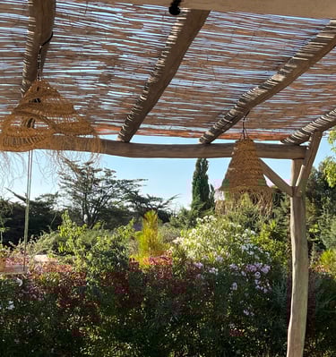 Pergolas bois flottés