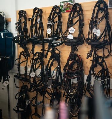 Trensen bei Equiverita - Reitsport