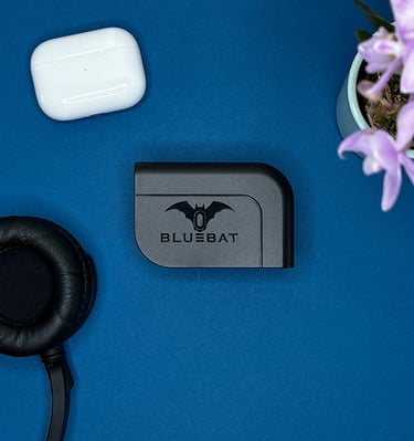 Charging Device | Bluebat BB101 for optimum charging. Timed and delayed charge with heat sensor