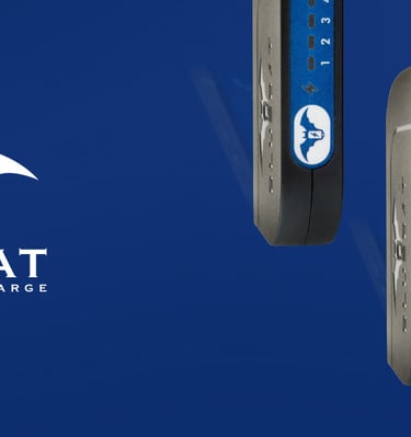 Charging Device | Bluebat BB101 for optimum charging. Timed and delayed charge with heat sensor
