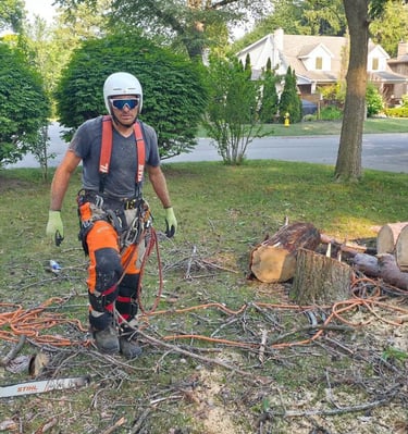Professional arborist in safety gear standing near cut logs and a Stihl chainsaw after tree removal.