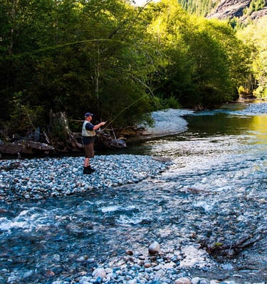 Angler fly fishing in a scenic mountain river surrounded by lush green forest trees.