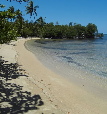 Calm sandy beach with mangroves;Playa de arena tranquila con manglares