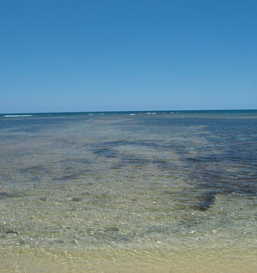 Calm sandy beach with mangroves;Playa de arena tranquila con manglares