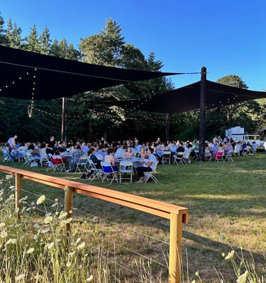 reception under the shade sails