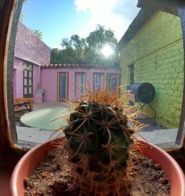 Patio, Asador, aire libro