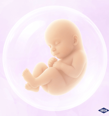 creative agency 3D animation